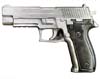 P226DemoGunMetallic.jpg